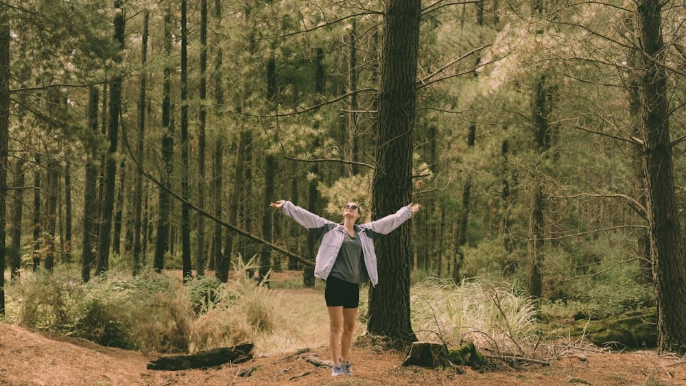 Thumbnail for Dementia Friendly Forest & Sensory Trail (Woowookarung Regional Park)