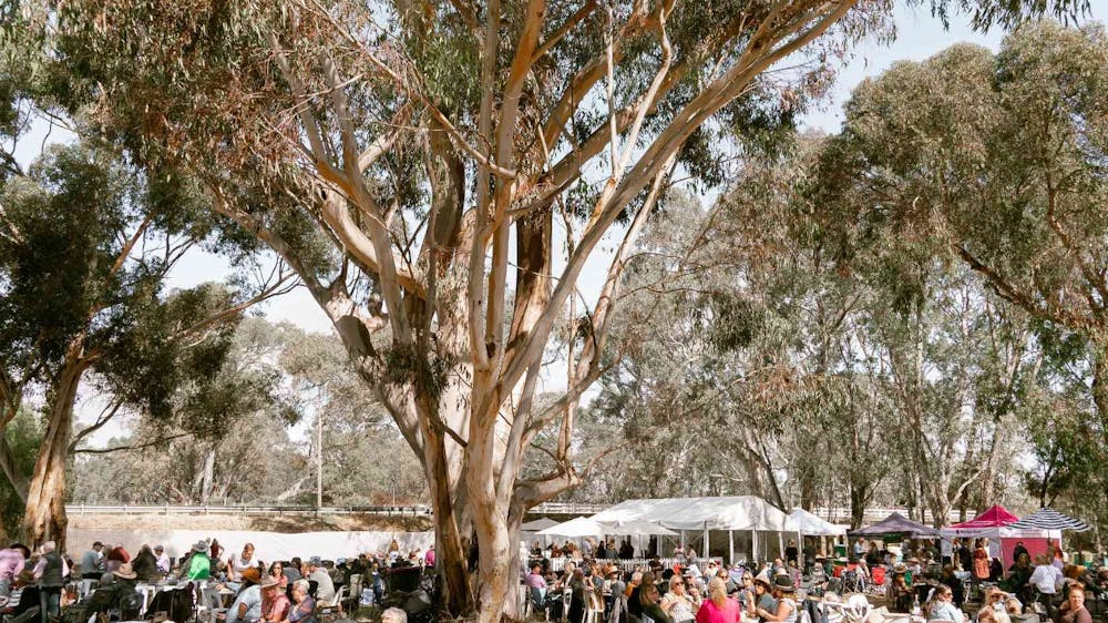A large crowd of people outside enjoying the Pyrenees Unearthed Festival