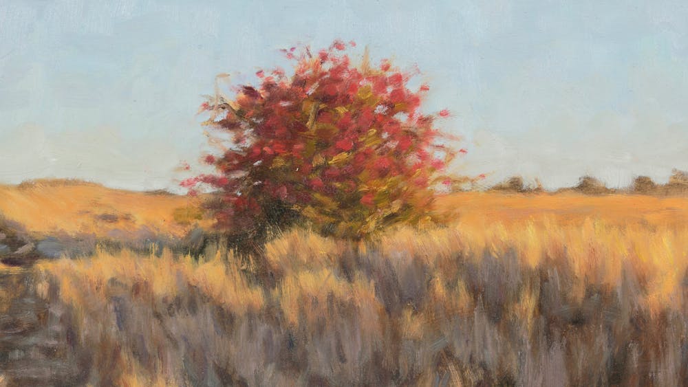 Thumbnail for Moving in Stillness by Cathy Brown