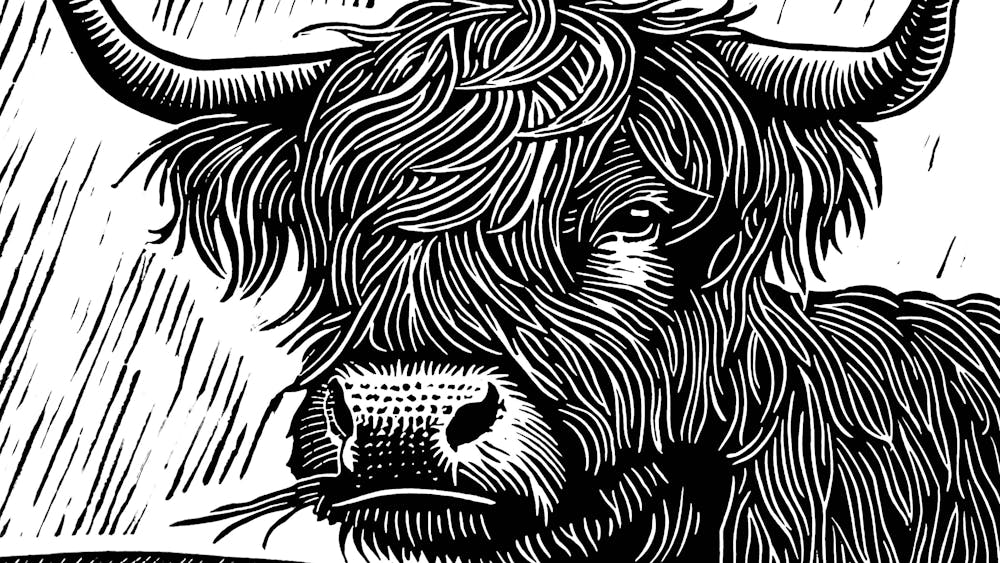 Thumbnail for Demanding Proof Exhibition by Colin Clark – Printmaker