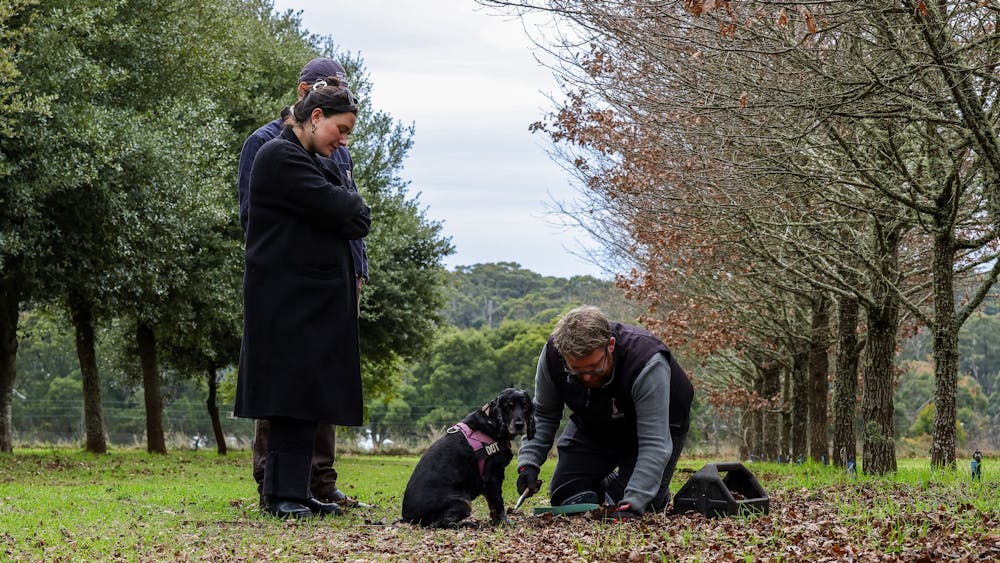 From Earth to Glass: Truffles & Spirits